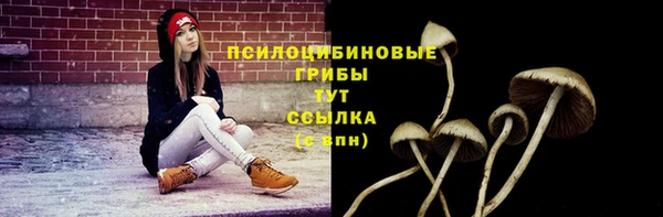 прущая мука Балахна