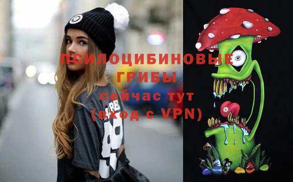 кокс Баксан