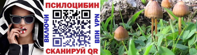 как найти закладки  Тихвин  Галлюциногенные грибы прущие грибы 